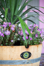 Load image into Gallery viewer, BIO BARREL