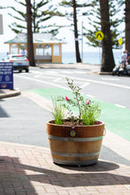 Load image into Gallery viewer, BIO BARREL