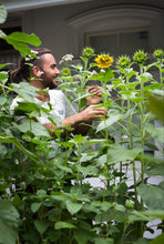 Load image into Gallery viewer, SUNFLOWER SEEDS