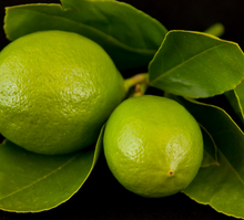 Load image into Gallery viewer, Tahitian Lime