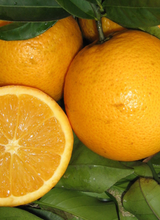 Load image into Gallery viewer, Seedless Valencia Orange