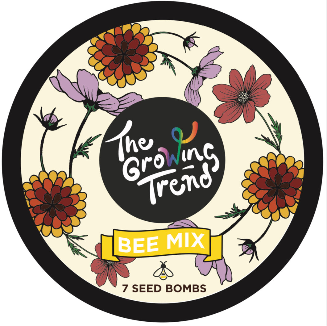 BEE MIX SEED - BOMBS