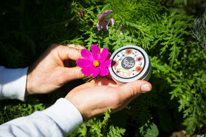 BEE MIX SEED - BOMBS
